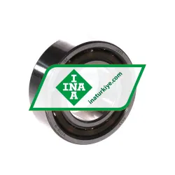 INA 3005