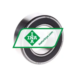 INA 3007 2RS