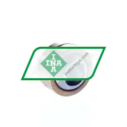 INA GE10-PB