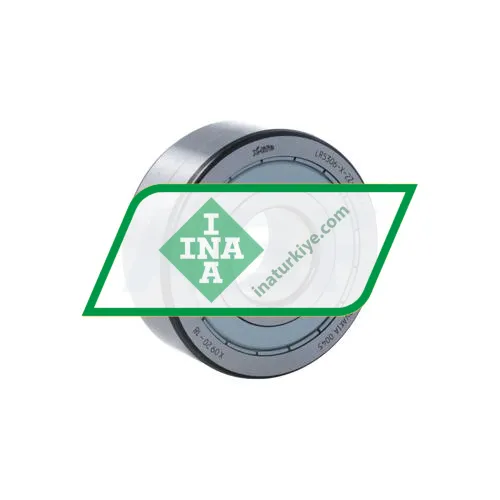 INA LR5306-X-2Z-TVH-XL