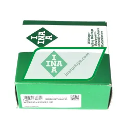 INA WGTR55X120X52-2Z rulman resim 3