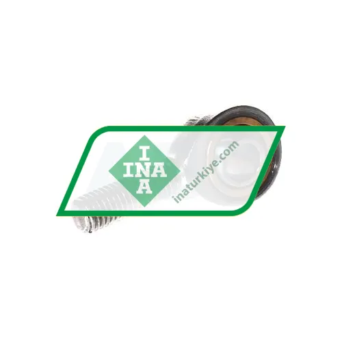 INA GAKR10-PW-A
