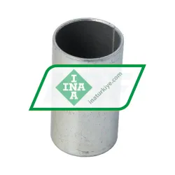INA PAP2550P10