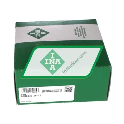 INA EGB6030-E50-Y rulman resim 2