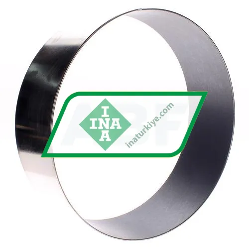 INA EGB300100-E40-Y