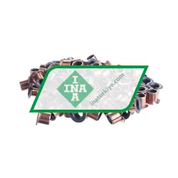 INA EGF06080-E40-B-Y