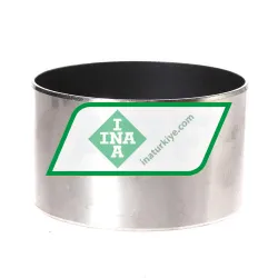 INA EGB10060-E40-Z