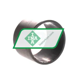 INA ZWB809060