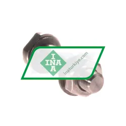 INA LFZ12X45-A1-RB