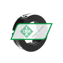 INA AM55