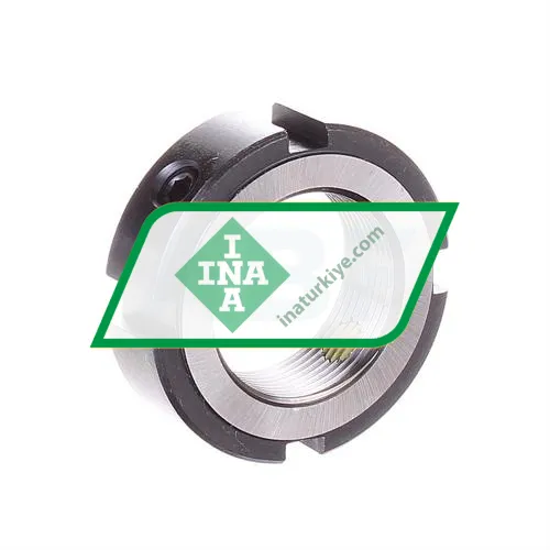 INA ZM20