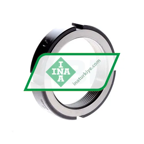 INA ZM60