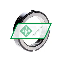 INA ZM60