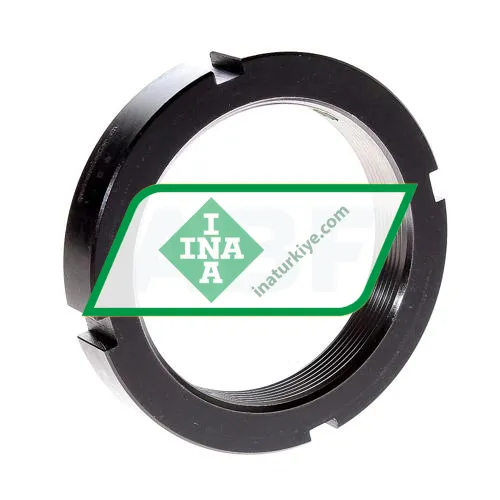 INA ZM80