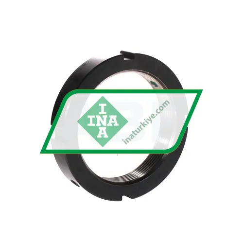 INA ZM65