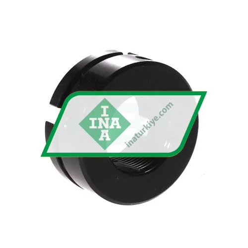 INA AM25