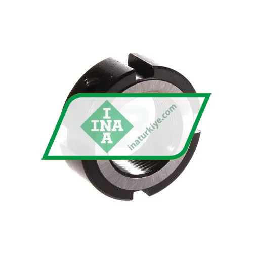 INA ZM17