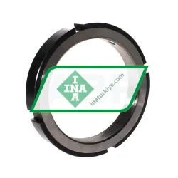INA ZM125 rulman resim 2
