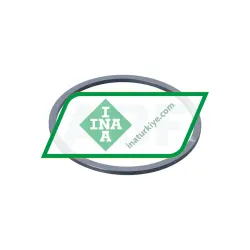 INA F-91631-RG-RSL