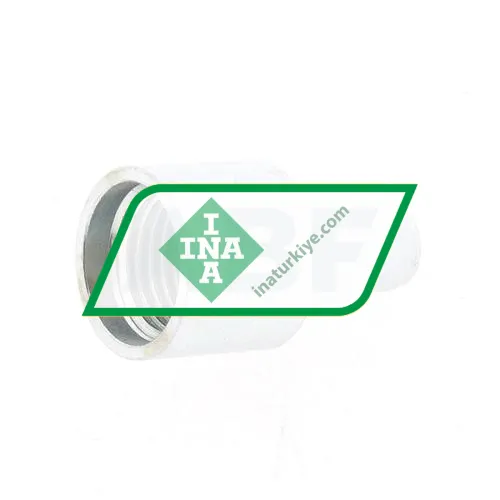 INA AP8-M10X1