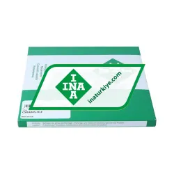 INA CSXA045-HLE