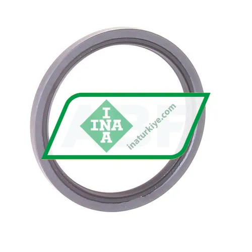 INA SD45X55X4-A