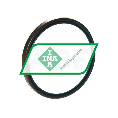 INA GR55X63X5-B