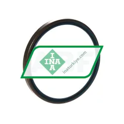 INA GR55X63X5-B