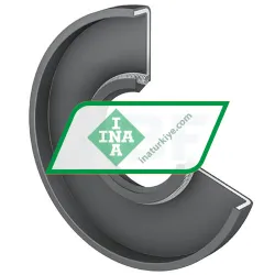 INA RWDR10-R-NBR-HLA rulman resim 4