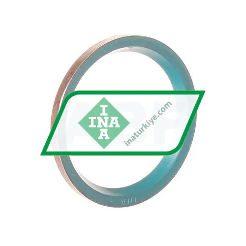 INA GR42X52X4