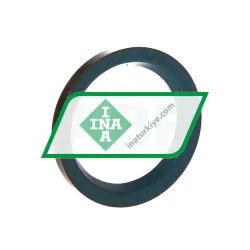 INA GR30X40X4